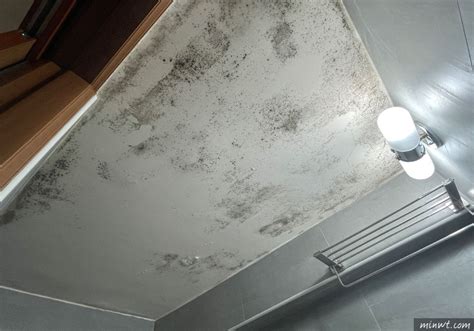 潮州圓石 浴室天花板發霉油漆
